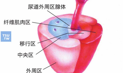 maca玛卡胶囊-权威macanegra玛卡胶囊平台,分享专业maca玛卡胶囊知识_玛卡增大胶囊网