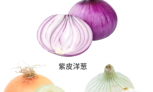 权威macanegra玛卡胶囊平台,分享专业maca玛卡胶囊知识_玛卡增大胶囊网